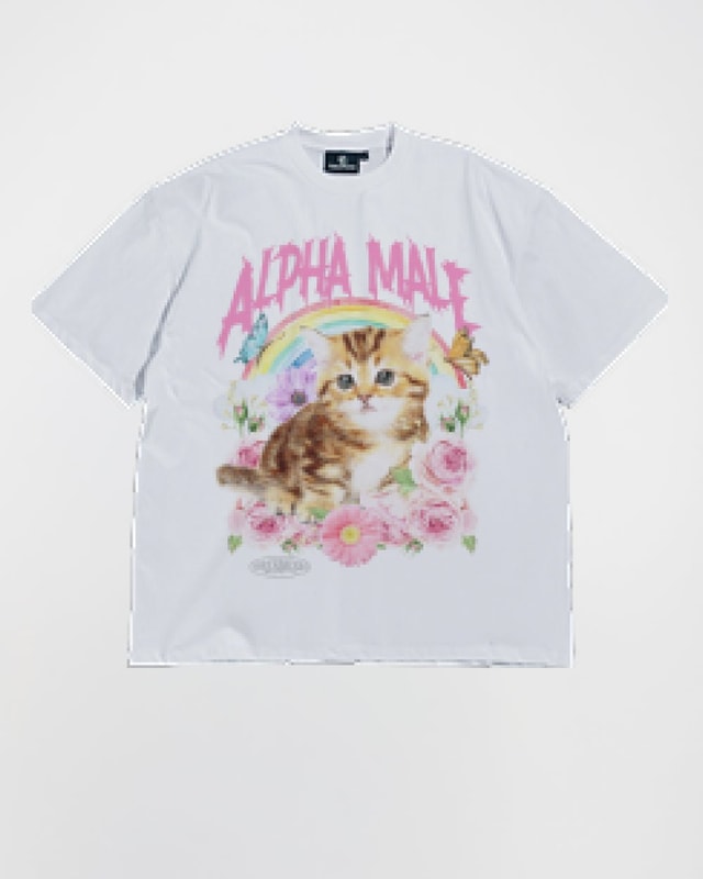 Alpha Male Oversized Graphic Tee Unisex 90s Boxy Fit 100% Combed Cotton